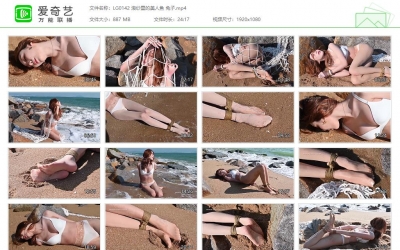 丽柜美束_浪纱里的美人鱼 兔子