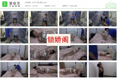 胜景影视_深入虎穴