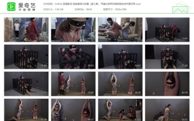 胜景影视_贩卖集团之绑票（第三集） 两美女被押进...