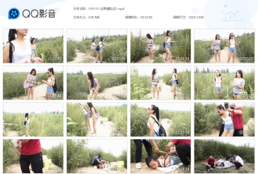 逍遥工作室_山野遇险记1