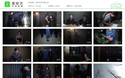 胜景影视_丽人恨