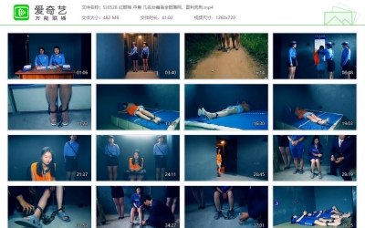 胜景影视_红颜殇 中集 几名女毒枭全部落网，宣判死刑