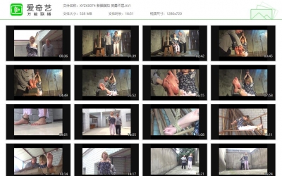 新胭脂扣_试镜19 蓝花旗袍女烈