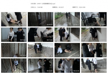 梨花雨_女间谍章姻伏法记