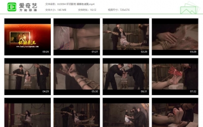 怀旧影苑_蝴蝶老虎凳