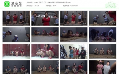 胜景影视_历险记（下） 改编自小绳大师同名的经典...