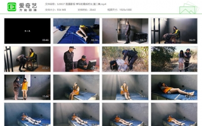 胜景影视_李玲的最后时光 第二集