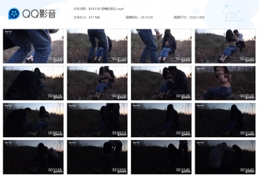 半岛艺束台_傍晚的草丛