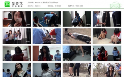 新雅俗阁_执行的故事