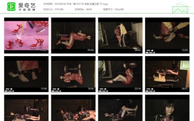 中华一晓_DV178 怡宝 赴美之前 下