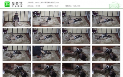 绿帽学院_端午节驷马鞭打泡泡机