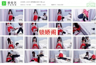 嗷大喵工作室_萝莉遇险记 第十六集