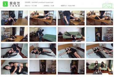 Hak Fantasy_Unnoticed Guests