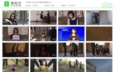 MJ影视 情法在线