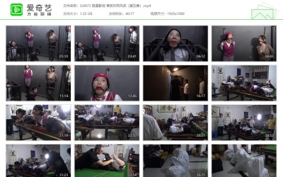 胜景影视_营救失败风波（第五集）