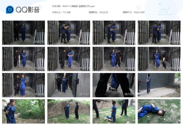 MJ影视_唐晓鱼 蓝旗袍女烈