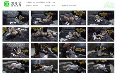 胜景影视_古玩家秘密（第三集）