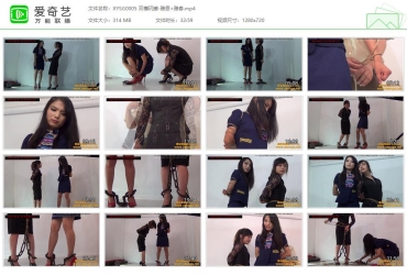 新雅俗阁_双模玩镣-雅恩+雅春