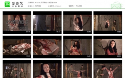 怀旧影苑_山城雪莲