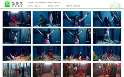 胜景影视_红岩英烈2 下集