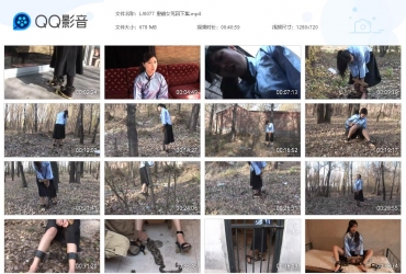 丽佳美亚 重镣女死囚下集