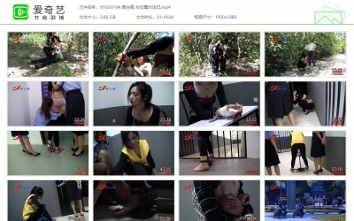 新雅俗阁_女狂魔伏法记