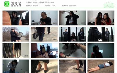 新雅俗阁_玉石俱焚