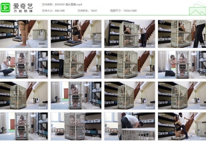 半岛束艺台_笼女雪碧