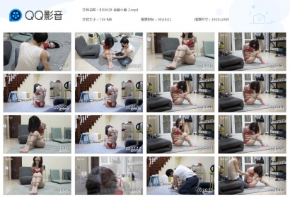 半岛束艺台_全能小偷2