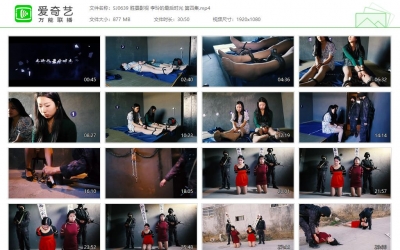 胜景影视_李玲的最后时光 第四集