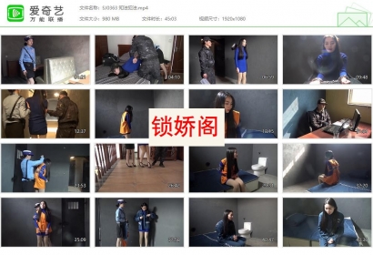 胜景影视_刑事诉讼之知法犯法 上集 张之涵身为公务人员...
