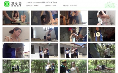 新雅俗阁_公捕公判·预演1.1版