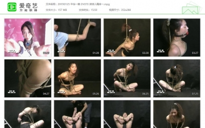 中华一晓_DV070 诗诗人绳合一