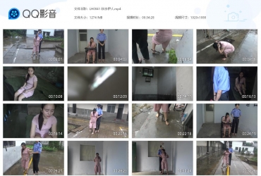 梨花雨_秋水伊人