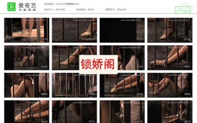 丽柜美束_牢房镣铐