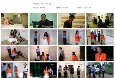 梨花雨_VIP片 瑞雪