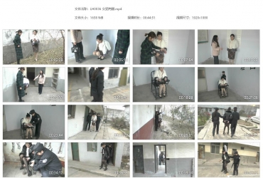 梨花雨_女犯肖丽