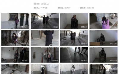 梨花雨_朱颜辞镜花辞树 嚣张毒贩的末日