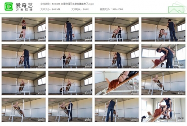 半岛艺束台_台里穷得又去废弃健身房了